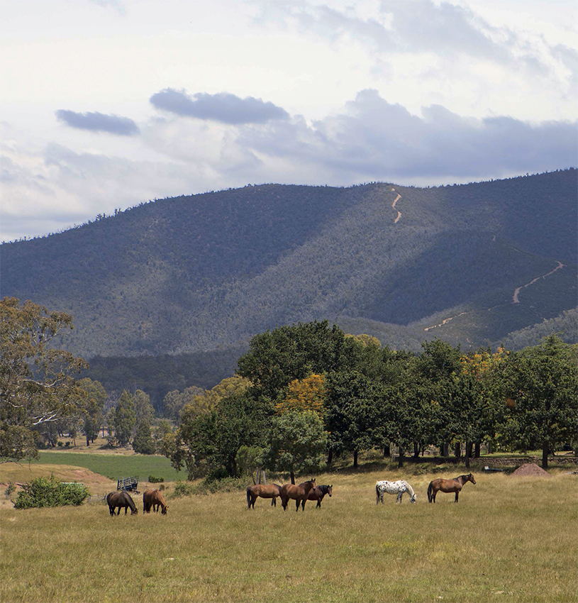 Contents The bleached Monaro landscape south of Cooma New South - photo 3