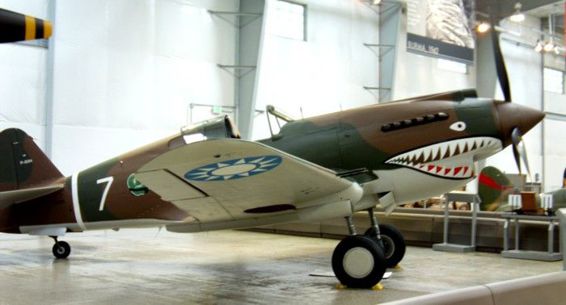 WW II Birds - photo 12