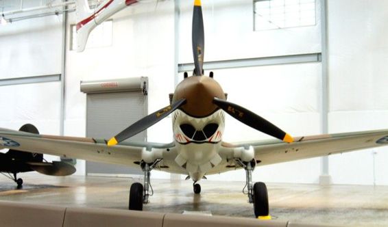 North American P-51D Mustang - photo 15