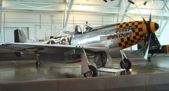 WW II Birds - photo 20