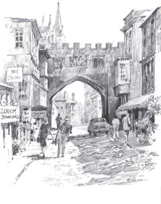 SALISBURY WALKABOUT Graphite on bristol paper 11 8 28cm 22cm If youve - photo 17