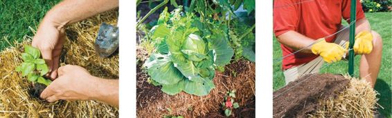 BREAKTHROUGH VEGETABLE GARDENING METHOD JOEL KARSTEN Contents - photo 1