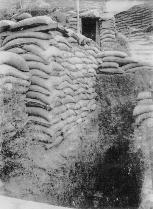 Sandbag dugouts June 1915 Chambers AUTHORS INTRODUCTION The Allied - photo 2