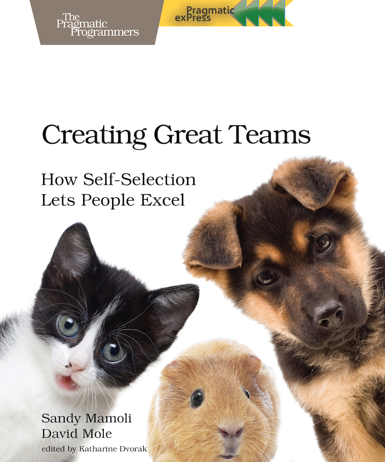 Creating Great Teams How Self-Selection Lets People Excel by Sandy Mamoli - photo 1