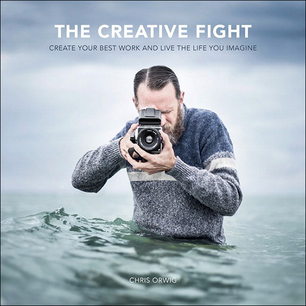 The Creative Fight Create Your Best Work and Live the Life You Imagine - image 1