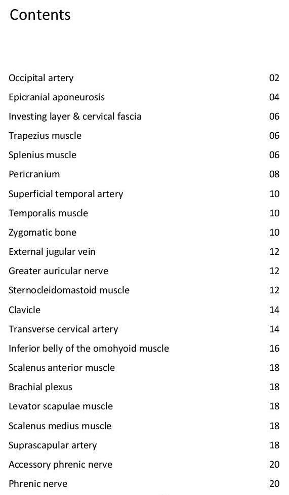 Colour Atlas of Human Anatomy - photo 5