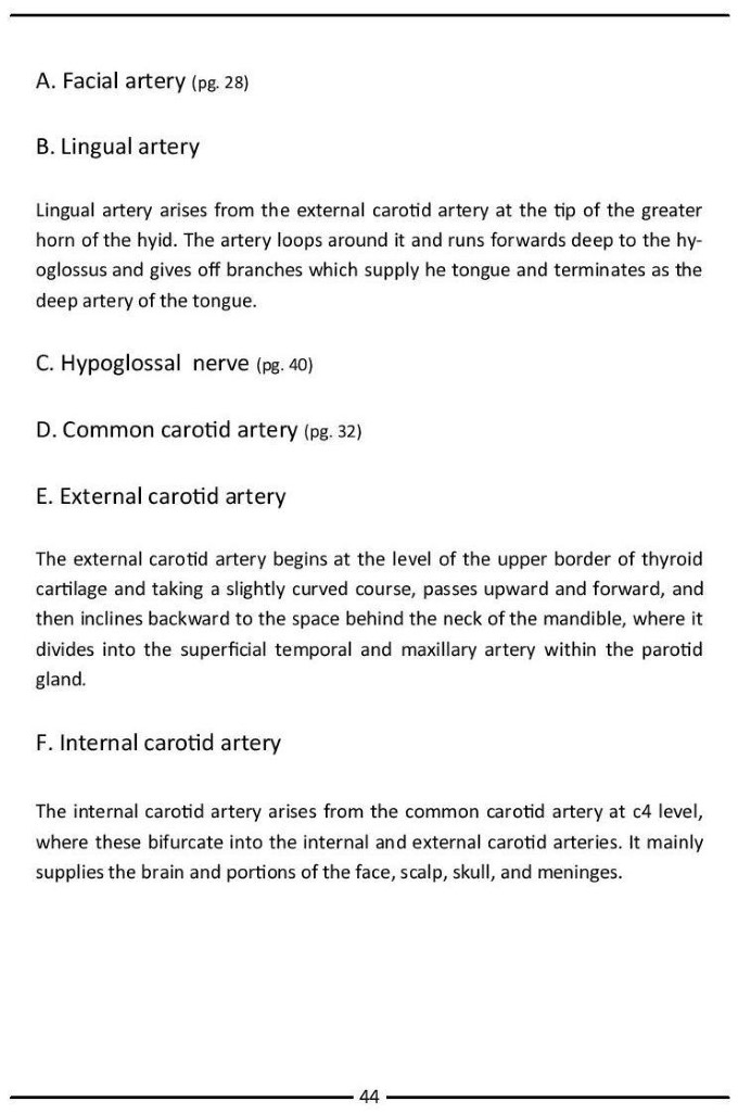 Colour Atlas of Human Anatomy - photo 52