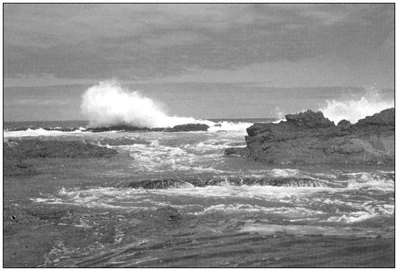 Frontispiece Exposed rocky shore Tsitsikama South Africa Page - photo 2