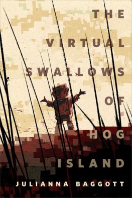 Dzhuliana Beggott The Virtual Swallows of Hog Island