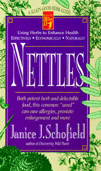 title Nettles Both Potent Herb and Delectable Food This Common Weed - photo 1