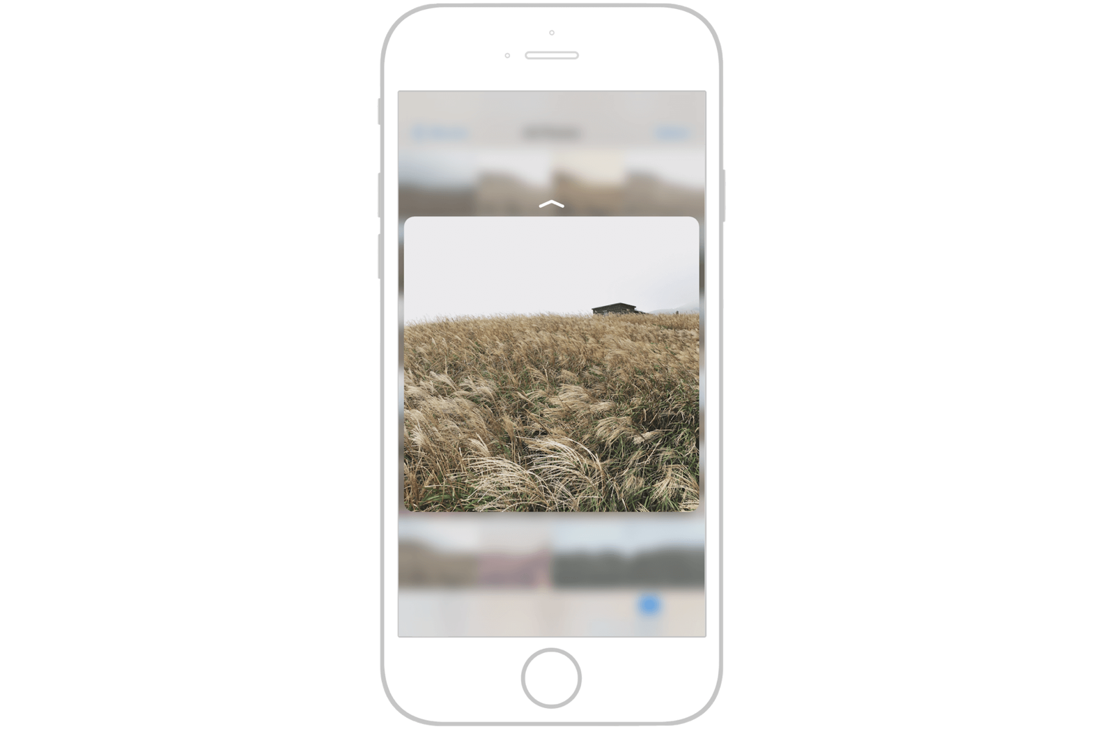 Figure 29-2 Peek and Pop in Photos appStarting from iOS 9 Apple provides a - photo 3