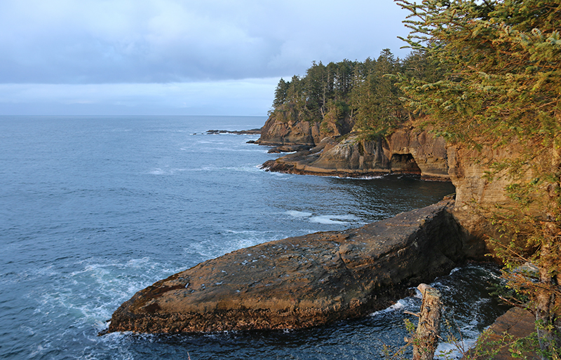 The Northwest Coastal Explorer Your Guide to the Places Plants and - photo 1