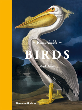 Mark Avery - Remarkable Birds