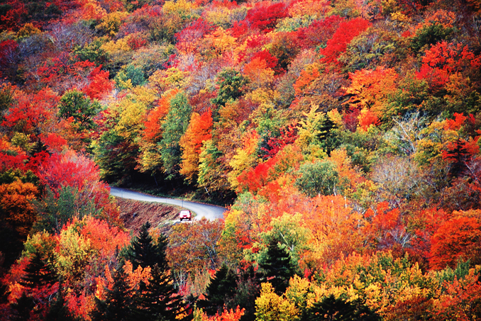 PETE TURNER GETTY IMAGES DENIS JR TANGNEY GETTY IMAGES USAS - photo 10