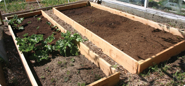 These raised beds took about 4 hours to build and are perfect for separating - photo 6