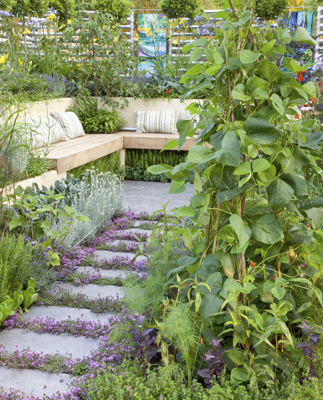 Small-space vegetable gardens growing great edibles in containers raised beds and small plots - image 1