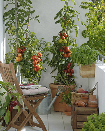 Vertical container growing makes this balcony welcoming and productive - photo 9