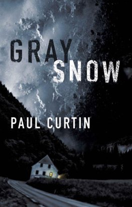 Paul Curtin - Gray Snow