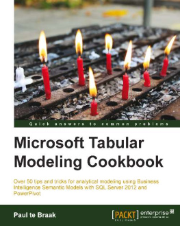 Te Braak Microsoft Tabular Modeling Cookbook