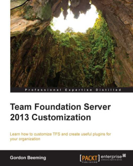 Beeming Team Foundation Server 2013 Customization