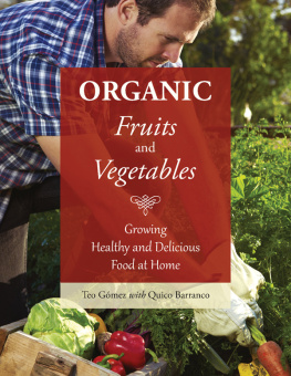 Barranco Quico Organic fruits and vegetables: growing healthy and delicious foods at home