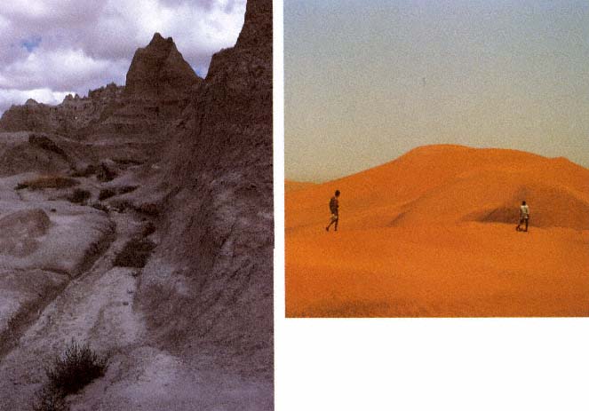 Other deserts are barren and lifeless rock The desert in the right picture is - photo 5