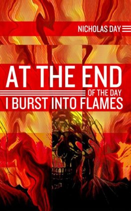 Nicholas Day - At the End of the Day I Burst into Flames