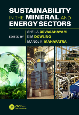 Devasahayam Sheila Sustainability in the Mineral and Energy Sectors