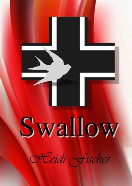 Heidi Fischer - Swallow