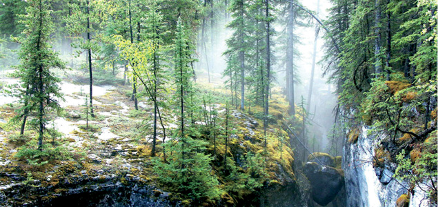 The Many Faces of the Canadian Rockies - photo 9