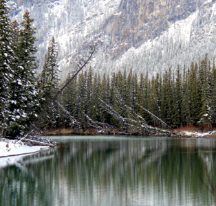 The Many Faces of the Canadian Rockies By Frank A Szy Suite - Fort St - photo 14