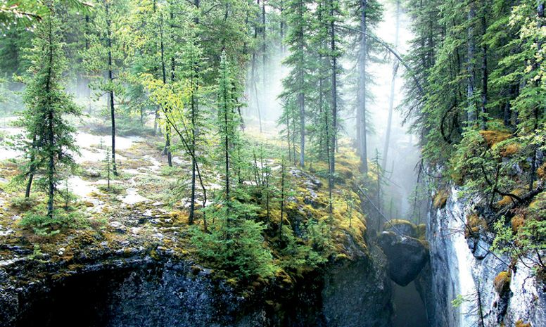 East of Jasper there is a wonderful geological feature Maligne Canyon To - photo 27