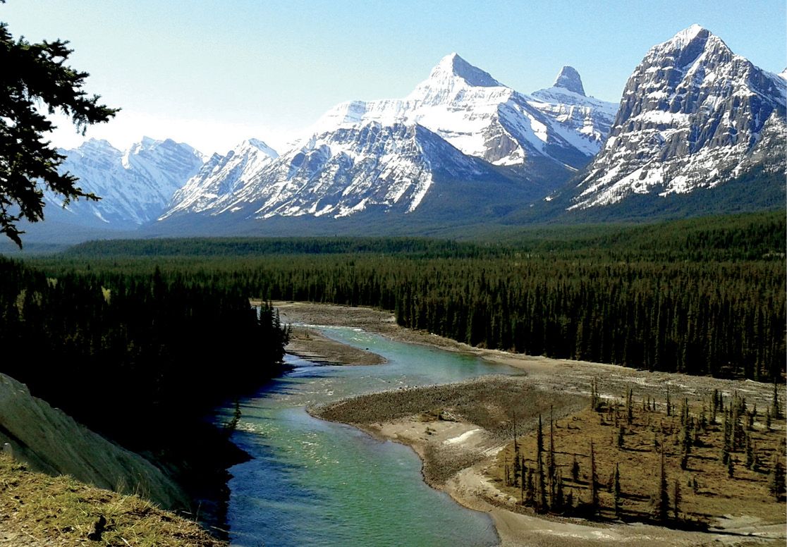 A magnificent view from Goats Bluff overlooking the Athabasca River Valley - photo 29