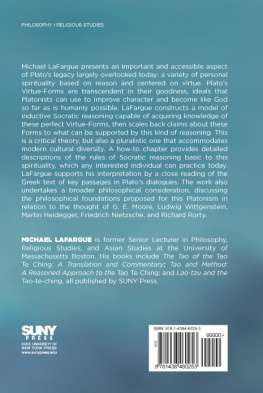 Michael LaFargue - Rational Spirituality and Divine Virtue in Plato: A Modern Interpretation and Philosophical Defense of Platonism