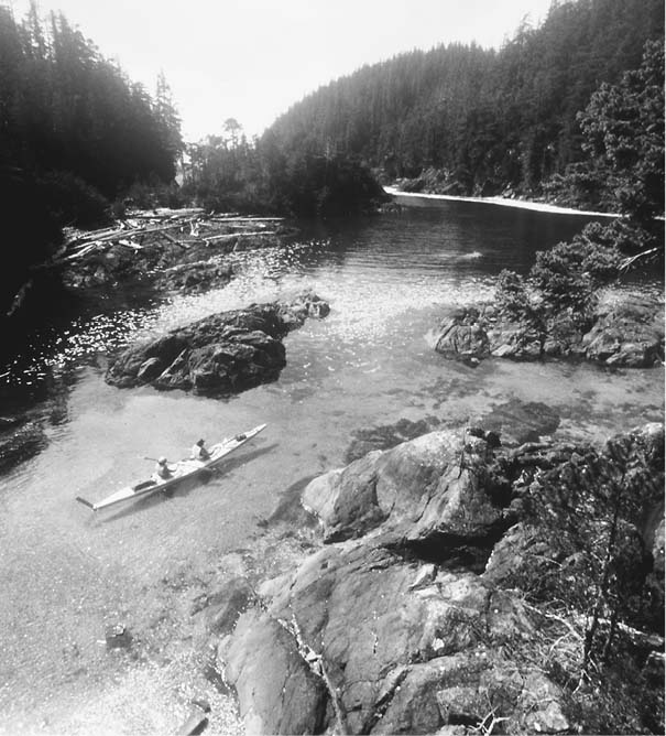 British Columbia is ideal kayaking country Tofino Expeditions I had been - photo 3