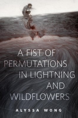 Alissa Vong A Fist of Permutations in Lightning and Wildflowers