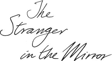 The Stranger in the Mirror - image 1