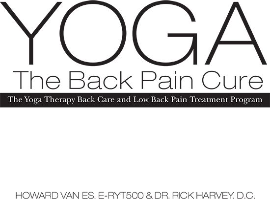 Yoga The Back Pain Cure The Yoga Therapy Back Care and Low Back Pain - photo 1