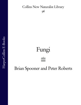 Brian Spooner - Fungi