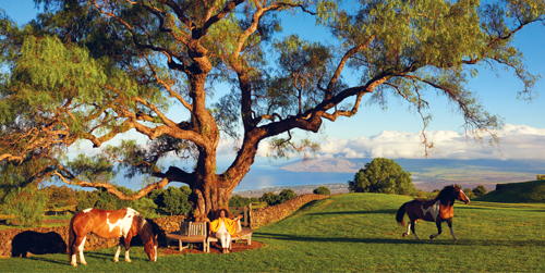 My all time favorite place to be is quietly under a tree I sit every day in - photo 6