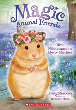 Daisy Meadows - Olivia Nibblesqueak’s Messy Mischief