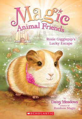 Daisy Meadows - Rosie Gigglepip’s Lucky Escape