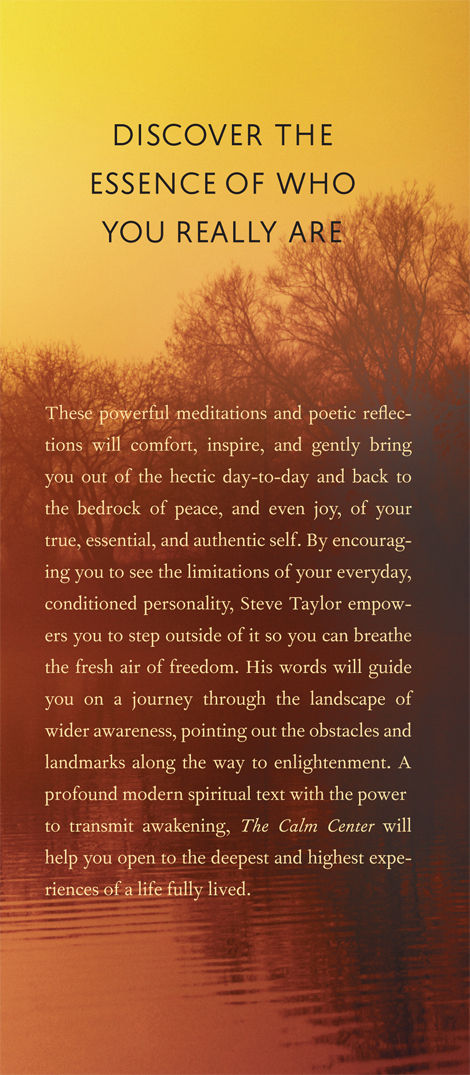 Praise for The Meaning by Steve Taylor Insightful and delightful Steve Taylors - photo 1