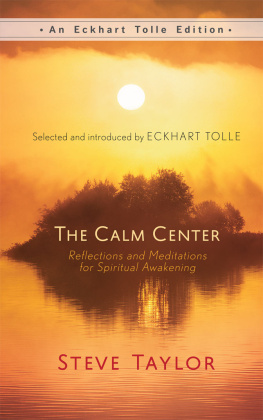 Steve Taylor - The Calm Center: Reflections and Meditations for Spiritual Awakening