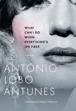 Antonio Lobo Antunes - What Can I Do When Everything’s On Fire. A novel