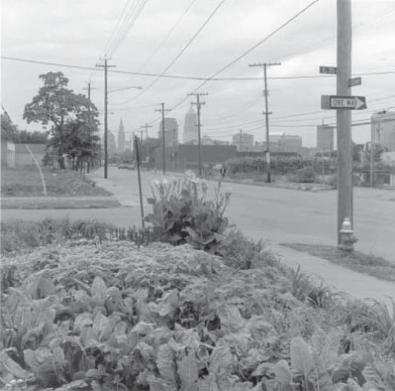 The Essential Agrarian Reader The Future of Culture Community and the Land - photo 1