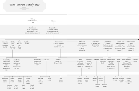 Harriet Tubman CHRONOLOGY 1785-1790 Harriet Tubmans parents Ben Ross and - photo 2