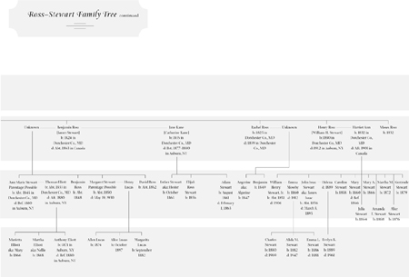 Harriet Tubman CHRONOLOGY 1785-1790 Harriet Tubmans parents Ben Ross and - photo 3