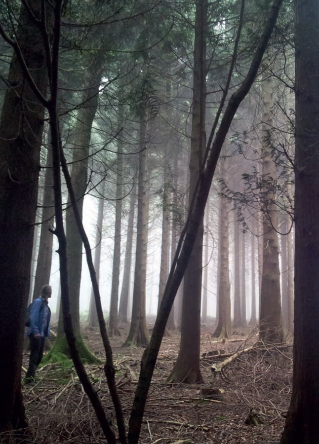 Introduction Foraging for fungi is an addictive pastime that can border on an - photo 4