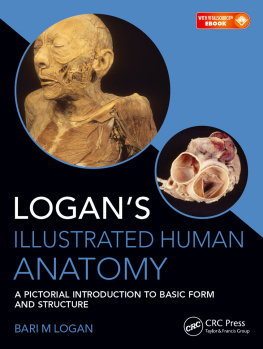 Bari M. Logan - Logan’s illustrated human anatomy: a pictorial introduction to basic form and structure